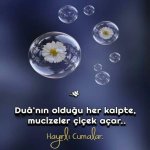 FB_IMG_1594373680045.jpg