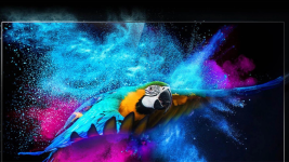 1603672016955.png 1603672016955.png