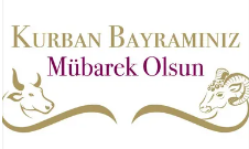 Ekran görüntüsü 2025-06-05 193405.png