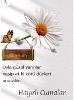shared image.jpeg