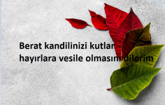 Ekran Alıntısı.PNG