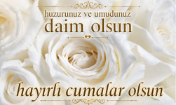 1784239511129.png